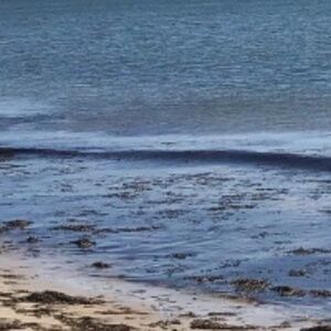 Meet your Posher, Chrissy